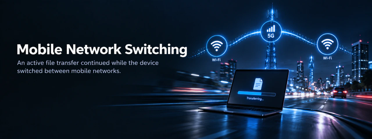 Mobile Network Switching