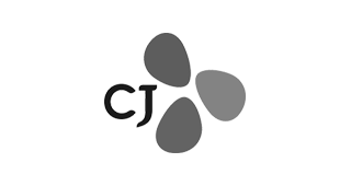 logo_top8
